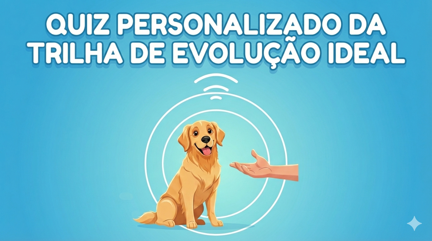 Guia de Organização das Atividades